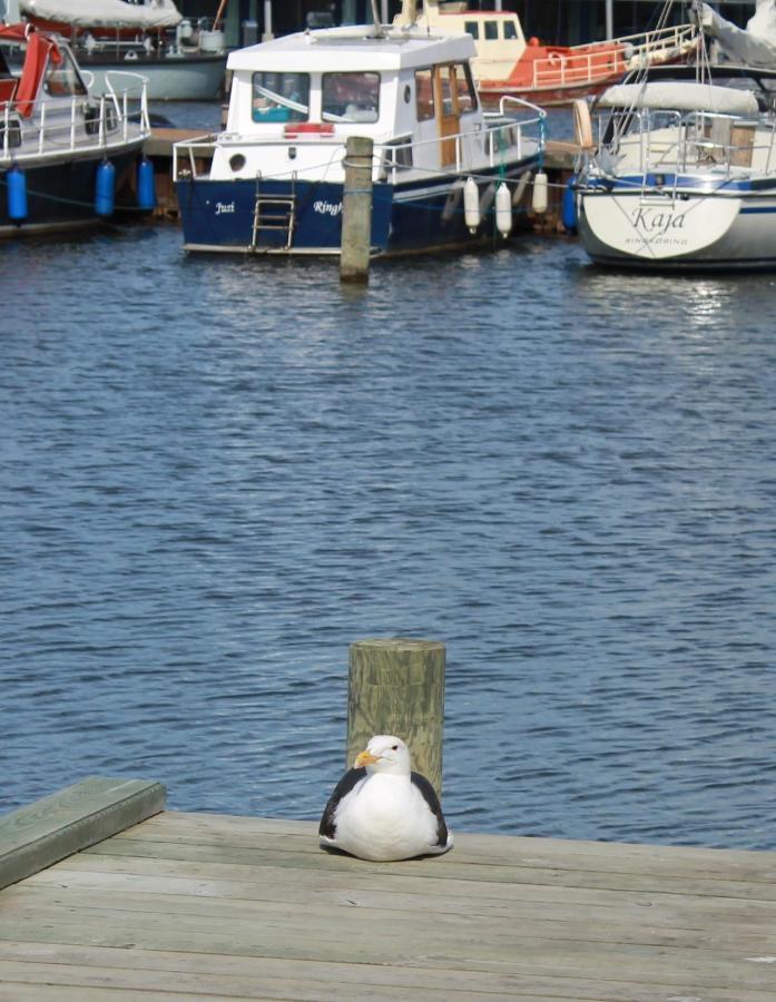 Gaestehuset “Vesterhede” Ringkøbing Dış mekan fotoğraf
